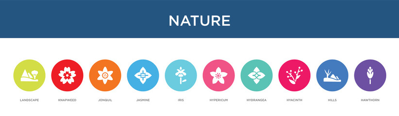 Fototapeta na wymiar nature concept 10 colorful icons