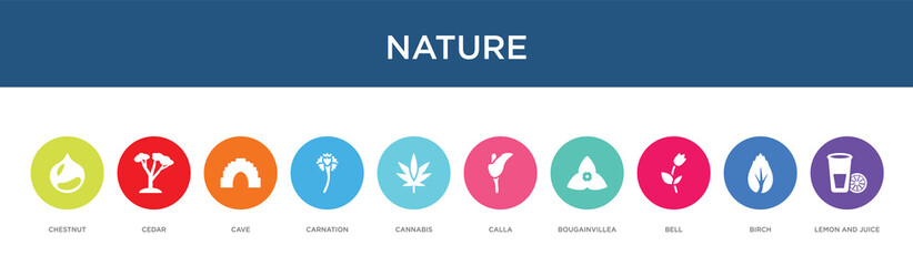 nature concept 10 colorful icons