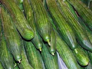Pile of raw snake cucumbers