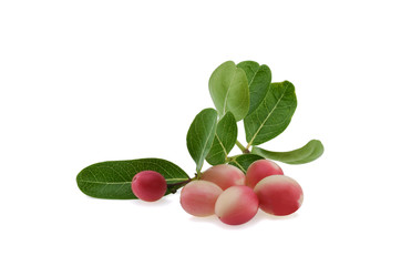 Mango yawn lime boo on white background.