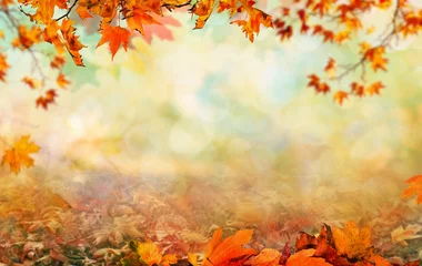 Foto op Canvas Houten tafel met oranje bladeren herfst achtergrond © andreusK
