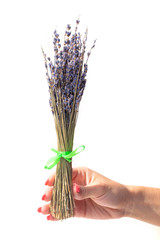 Bouquet of dry lavender in a female hand on a white background.