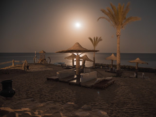 Empty beautiful beach with umbrellas and sunbeds in Egypt