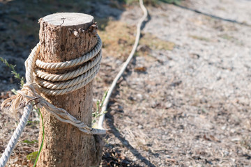 white rope tied with stump to block the areas