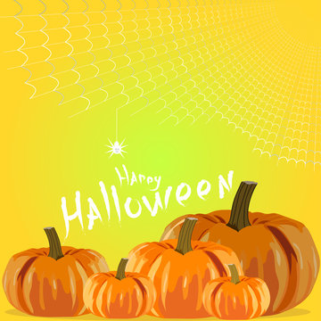 Vector illustration for Halloween Day. The illustration depicts five pumpkins of different sizes, a white web and a white spider on a greenish-green background and an inscription of happy Halloween.
