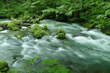 Obraz premium 《奥入瀬渓流》青森県十和田市