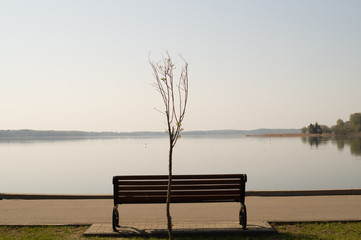 Fototapeta na wymiar Landscape with bench on the lake shore