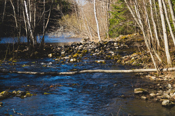 Fototapeta na wymiar Rocky river in the forest. flowing water