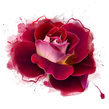 Red rose and spray paint in front of the background. Greeting for text and background