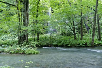 《奥入瀬渓流》青森県十和田市