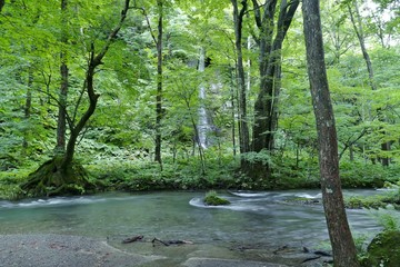 《奥入瀬渓流》青森県十和田市