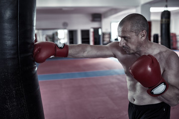 Boxer training at heavy bag