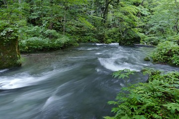 Obraz premium 《奥入瀬渓流》青森県十和田市