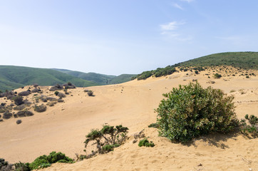 Amazing and wild scenery with sand dunes in Lemnos island, Greece