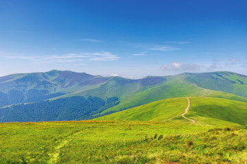 Obraz premium wonderful summer mountain landscape. beautiful green sunny scenery. path through grassy meadow on rolling hills. stoj and velykyy verkh peaks of borzhava ridge in the distance. transcarpathia, ukraine