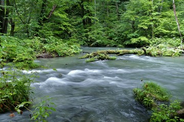 《奥入瀬渓流》青森県十和田市