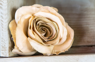 Trödel,Zeeland,Holland,Markt,Stand,Porzelan,Werkzeug,Altertümer,Blumen,Uhren,Uhrwerke,Handarbeit,Marmelade,Tierfelle,Ente,Kücken,Postkarte,Cloun,Puppe,Tafel,Kreide,Zierijzee,Renesse,Schlüssel,Verroste