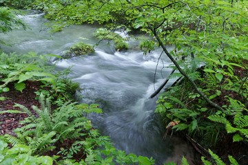《奥入瀬渓流》青森県十和田市