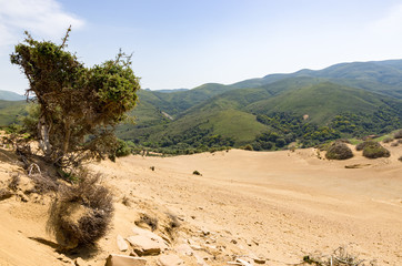 Amazing and wild scenery with sand dunes in Lemnos island, Greece