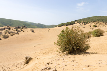 Amazing and wild scenery with sand dunes in Lemnos island, Greece