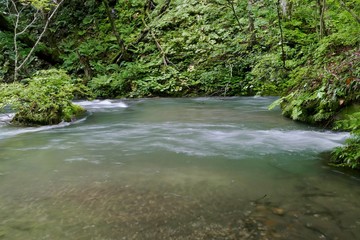 《奥入瀬渓流》青森県十和田市