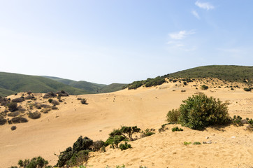 Amazing and wild scenery with sand dunes in Lemnos island, Greece