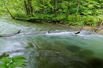 《奥入瀬渓流》青森県十和田市