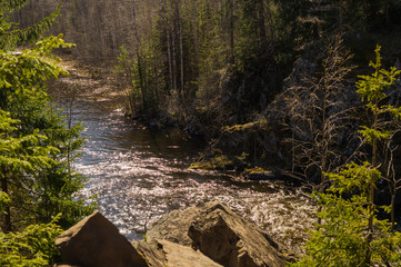 Rocky river in the forest. flowing water