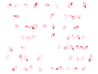 Pink sakura flower flying petals isolated on white vector background.