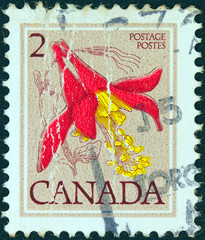 Red columbine flower (Canada 1977)