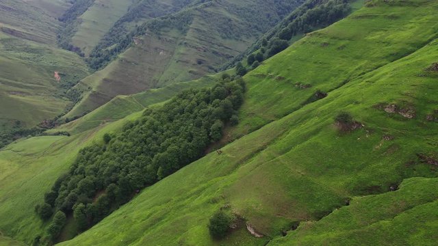 Puerto de los Tornos, Cantabria, Spain, Europe