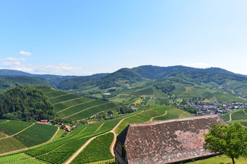 Durbach im Ortenaukreis / Baden-Württemberg