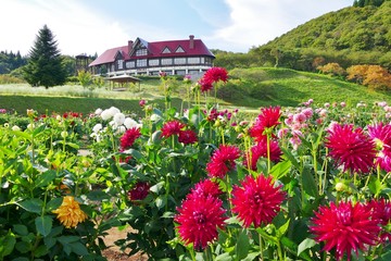 《国際ダリア園》秋田県秋田市