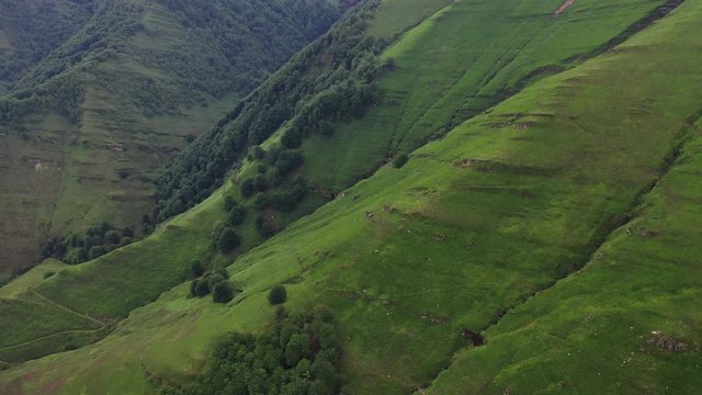 Puerto de los Tornos, Cantabria, Spain, Europe
