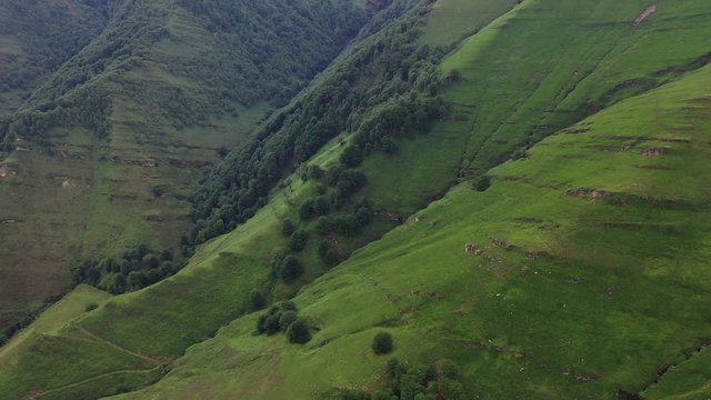 Puerto de los Tornos, Cantabria, Spain, Europe