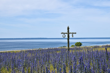 Maypole in a blossom blueweed field by the coast