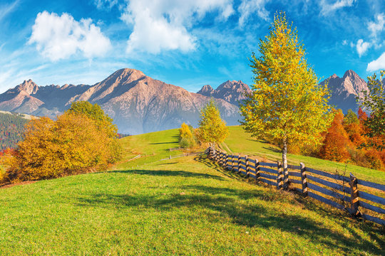 composite rural area in high tatra mountains. beautiful autumn weather on a sunny day. wooden fence along the country road uphill. trees in fall foliage. blue sky with clouds
