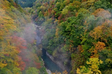 《小安峡の紅葉》秋田県湯沢市