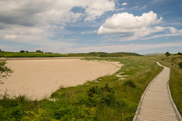 Sentiero su spiaggia irlandese in estate - Ards Forest Park, County Donegal