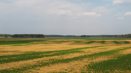 Fototapeta na wymiar Wide field and the sky nature landscape background