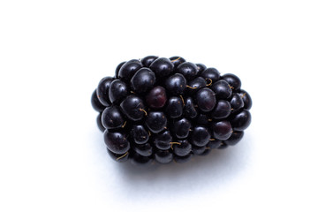 Boysenberry  isolated on a white background.