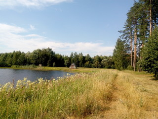 landscape with river and trees