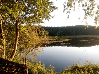 lake in forest