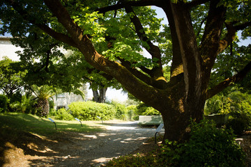 Mus&eacute;e Renoir, cagnes sur Mer, Alpes-Maritimes.