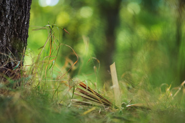 The old book lies on the grass in the Park