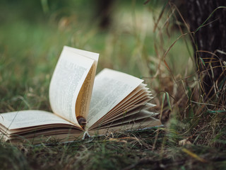 The old book lies on the grass in the Park