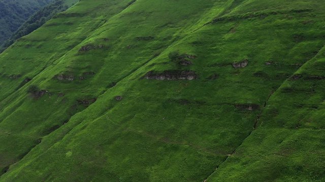 Puerto de los Tornos, Cantabria, Spain, Europe