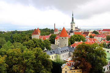 Obraz premium Tallinn city wall and St. Olaf's Church view. Aerial view of Tallinn skyline, Estonia