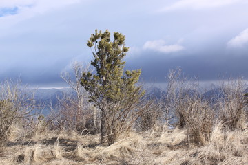 Armenian cross stones (Khachkars) near Sevan lake