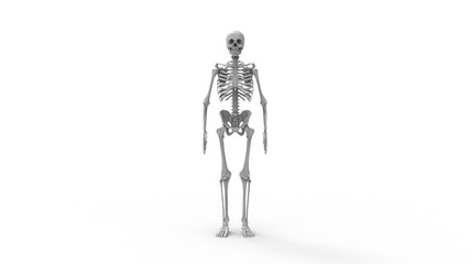 Skeleton multiple views of a human computer renderd skeleton,